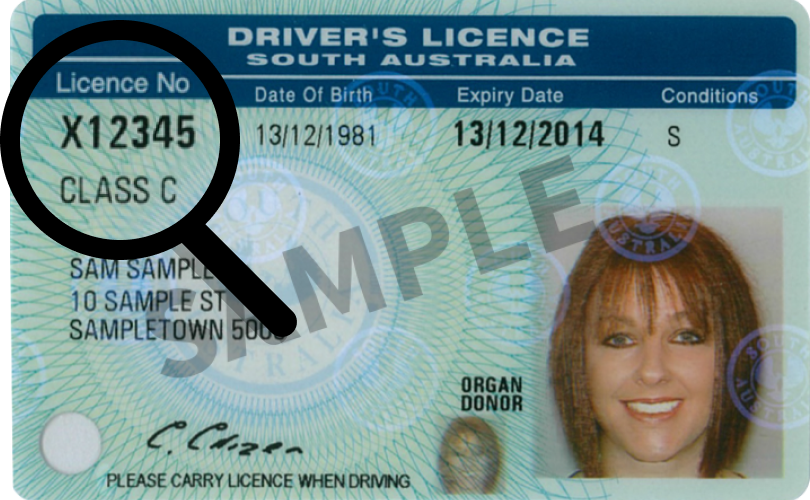 Sample image of SA license card number