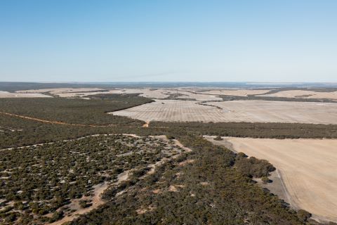 Photo by Grassland Films. Provided by Bush Heritage Australia