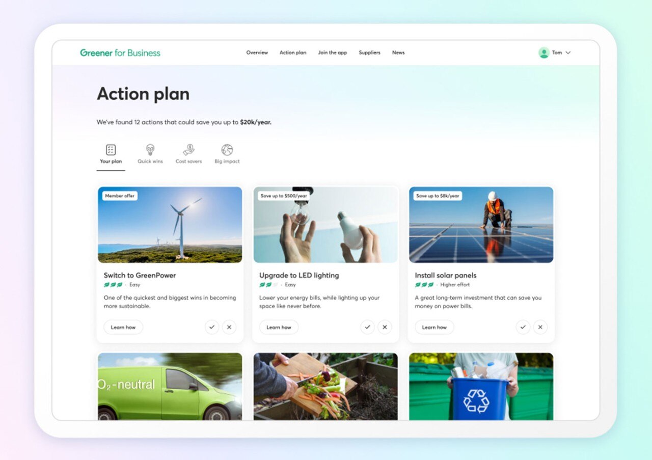 Screenshot example of an action plan