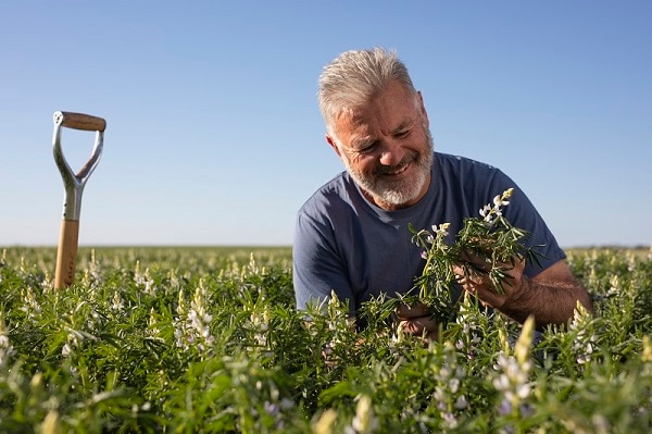 Wide open agriculture