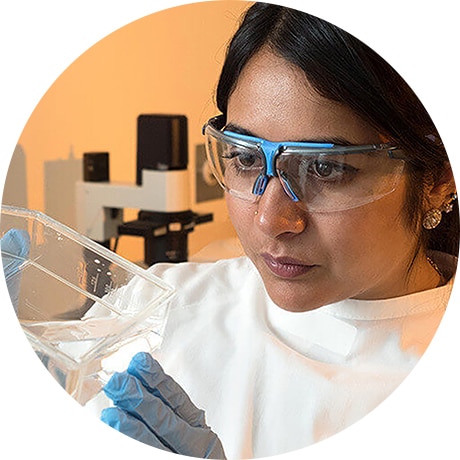Dharmica Mistry