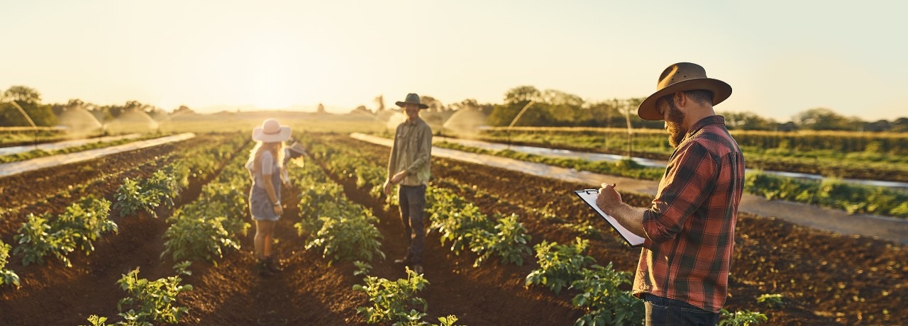 farming-family-at-work-DigBan-2500x900.jpg